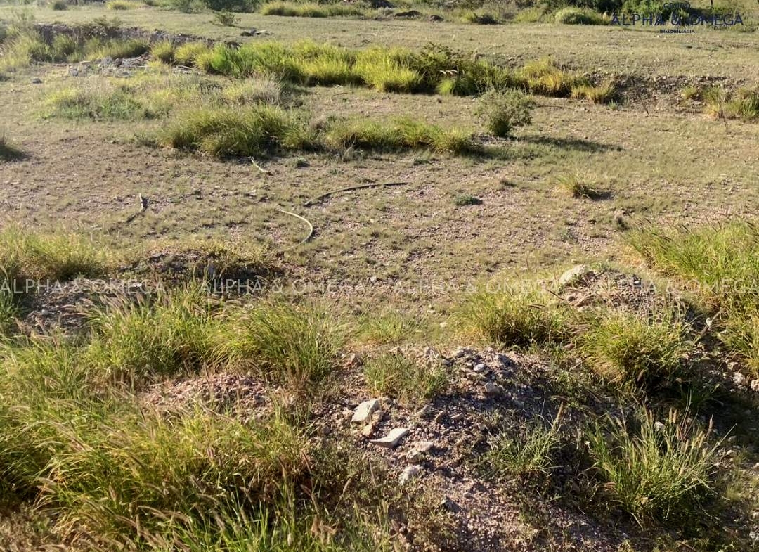 Aldama